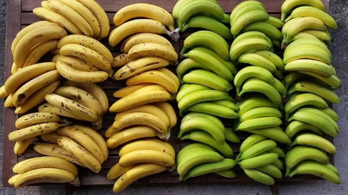 platano-banano-ecuatoriano