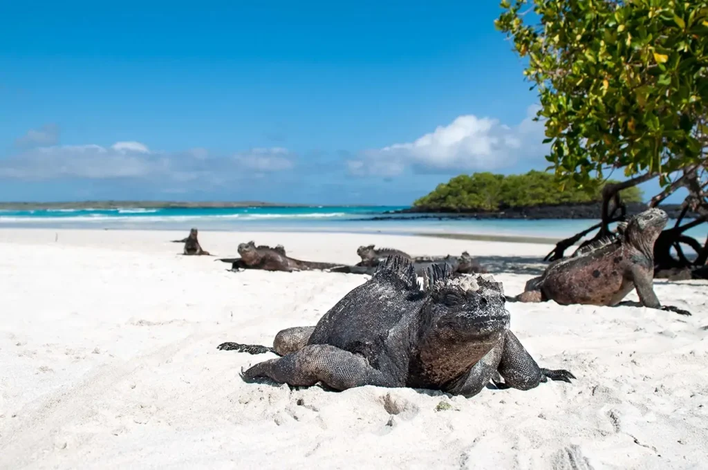 playas Ecuador Galapagos